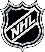 Chicago Blackhawks, Chicago Blackhawks