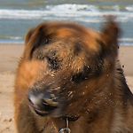 Julbka_navka-ice-queen, Julbka_navka-ice-queen