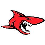 Grunge_shark, Grunge_shark
