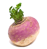 turneps, turneps