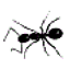 Antz