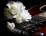 Floyd Rose, Floyd Rose