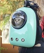 nikitazatonskiy, nikitazatonskiy