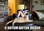 Коты-жёлтые хвосты, Коты-жёлтые хвосты