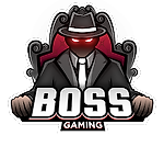 B.O.S.S. GAMING, B.O.S.S. GAMING