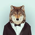 Петр Дабу, Петр Дабу