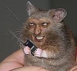 Мышка-Наружка, Мышка-Наружка