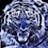 tigerol