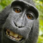 WhyAlwaysMe, WhyAlwaysMe