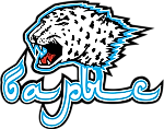 Sultan Beibarys, Sultan Beibarys