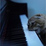 прохожий2, прохожий2