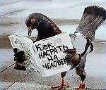 Max_CSKA, Max_CSKA