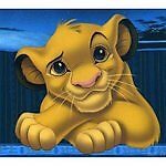 Toy cat, Toy cat