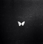 Виноватый, Виноватый