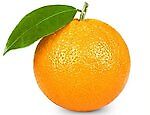 orange4history, orange4history