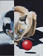 dmitrijdav, dmitrijdav