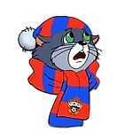 Руслан Мирошниченко, Руслан Мирошниченко