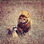 Muslim Saidov, Muslim Saidov