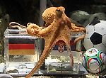 ОсЬминог, ОсЬминог