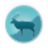 ansdv