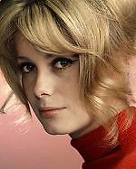 Polly blonde, Polly blonde