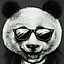 |Leon|