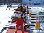 Колорадский Жук, Колорадский Жук