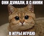 НевоГрад, НевоГрад