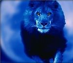 Синий Лев, Синий Лев