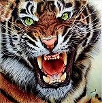 Michael-Robert Red-Devil-Tiger, Michael-Robert Red-Devil-Tiger