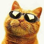 БАБУЛЯ, БАБУЛЯ