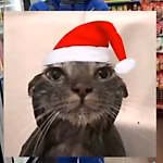 Марк Хорошавин, Марк Хорошавин