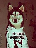 NoDrugs_NoParty, NoDrugs_NoParty NoDrugs_NoParty, NoDrugs_NoParty