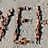 tolli_11