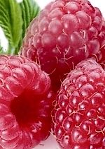 Лора Северская, Лора Северская