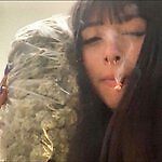 abusersha, abusersha