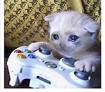 Сергей Мителев, Сергей Мителев