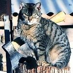 <Sanchez>, &lt;Sanchez&gt;