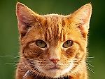 c13@mail.ru, c13@mail.ru c13@mail.ru, c13@mail.ru