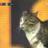 curiouscat