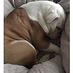 Morrigan 2, Morrigan 2