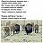 (пользователь заблокирован)
