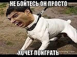 кардинал Решелье, кардинал Решелье
