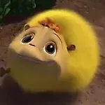 XoPToH, XoPToH