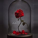 Foreve-rose.ru, Foreve-rose.ru