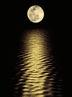 nikol semenov, nikol semenov