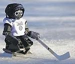 FRED ice edition, FRED ice edition