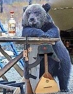 Mikhail Grebnev, Mikhail Grebnev