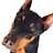 DOBERman