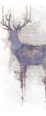 loopy_maverick, loopy_maverick